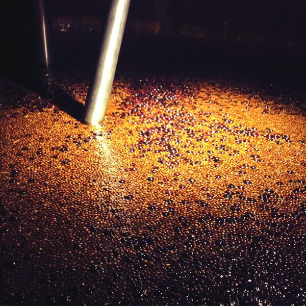 Sipsmith Gin botanicals macerating
