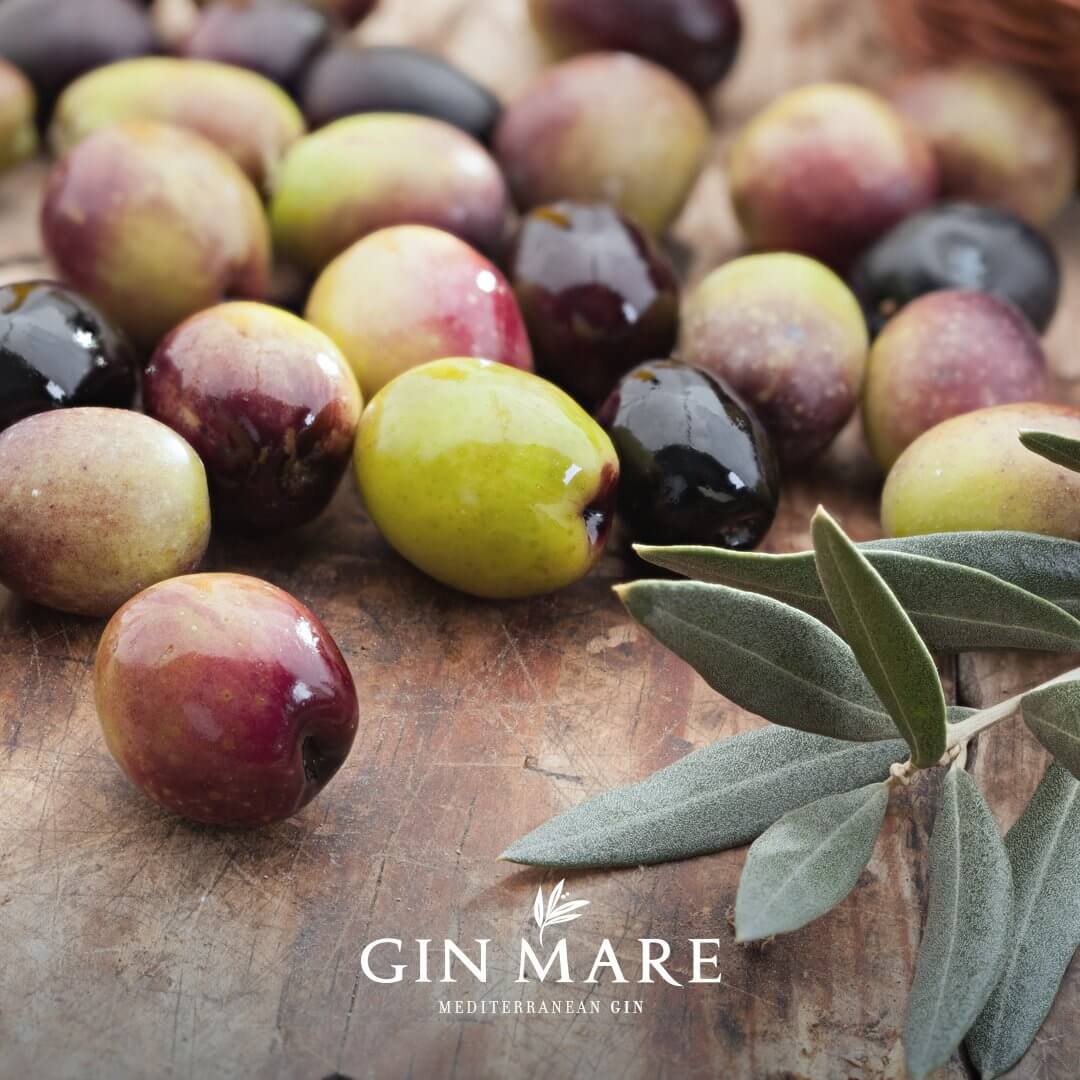 Gin Mare Mediterranean Gin Spanish Gin Gin Mare Mediterranean Gin Spanish Gin