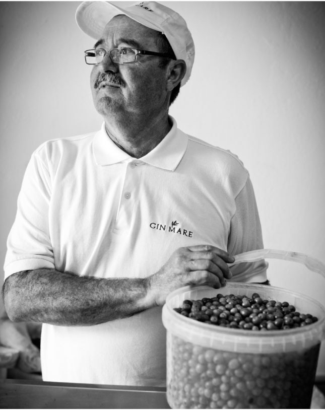 Gin Mare Botanical Picker Gin Mare Mediterranean Gin, Gin Mare, Gin, Spain, Spanish Gin, Spanish Gin