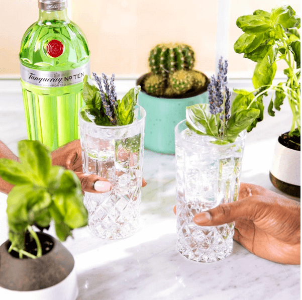 Tanqueray Gin 1 Tanqueray Gin 1