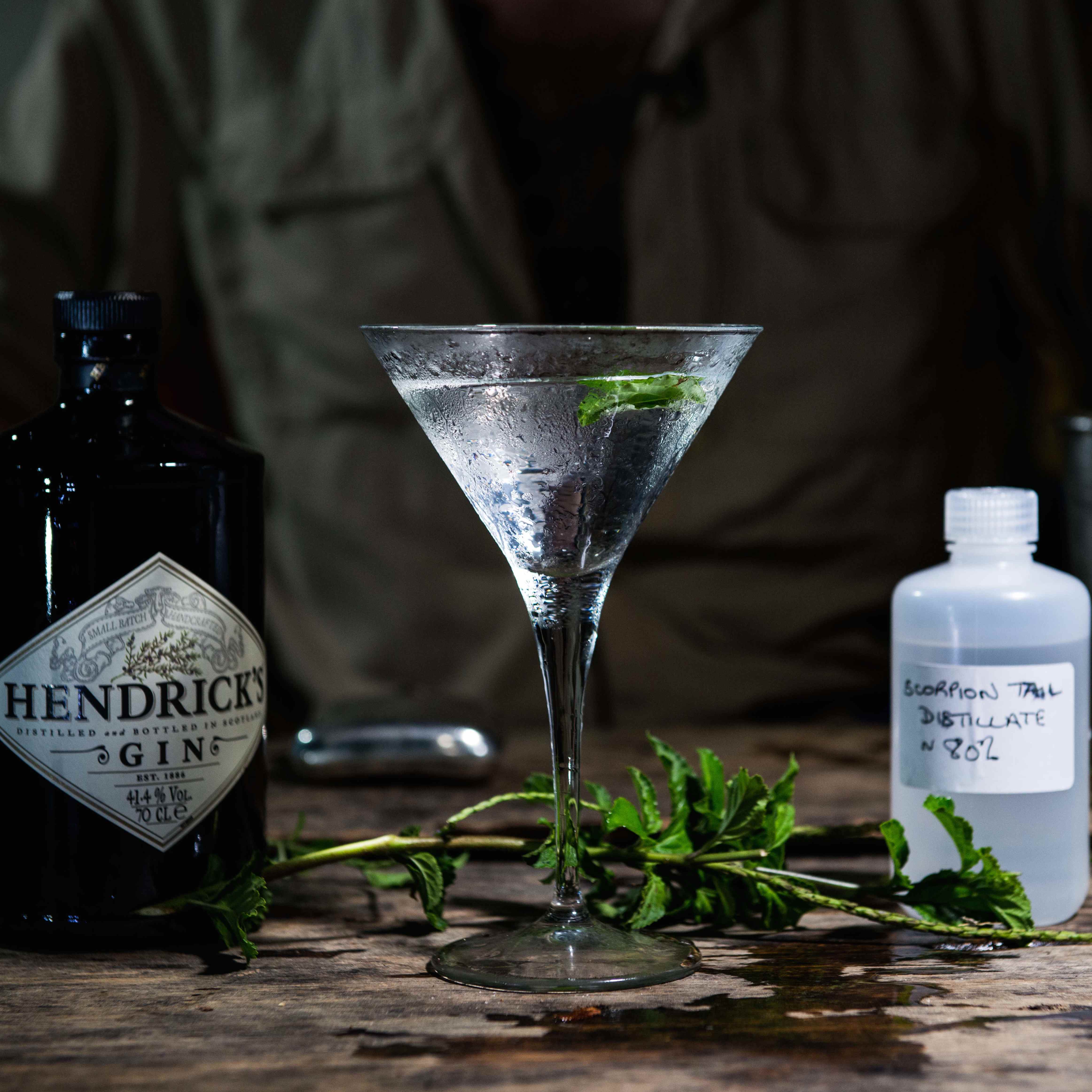 Hendrick's Kanaracuni