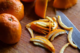 Orange 4 orange Gin Botanical illustration