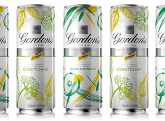 Gordons-Gin-Cans-min_340x250_acf_cropped
