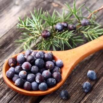 juniper-berries