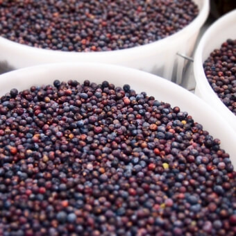 juniper-berries