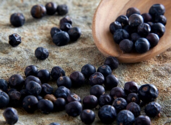 Juniper Berries Gin Botanical