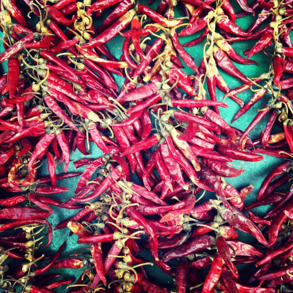 chilli
