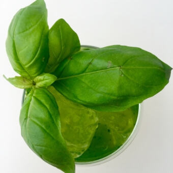 Basil-Smash-Cocktail-2_340x340_acf_cropped