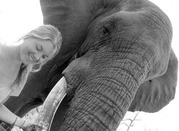 tess-wienker_cropped Tessa Gerlach Elephant Gin