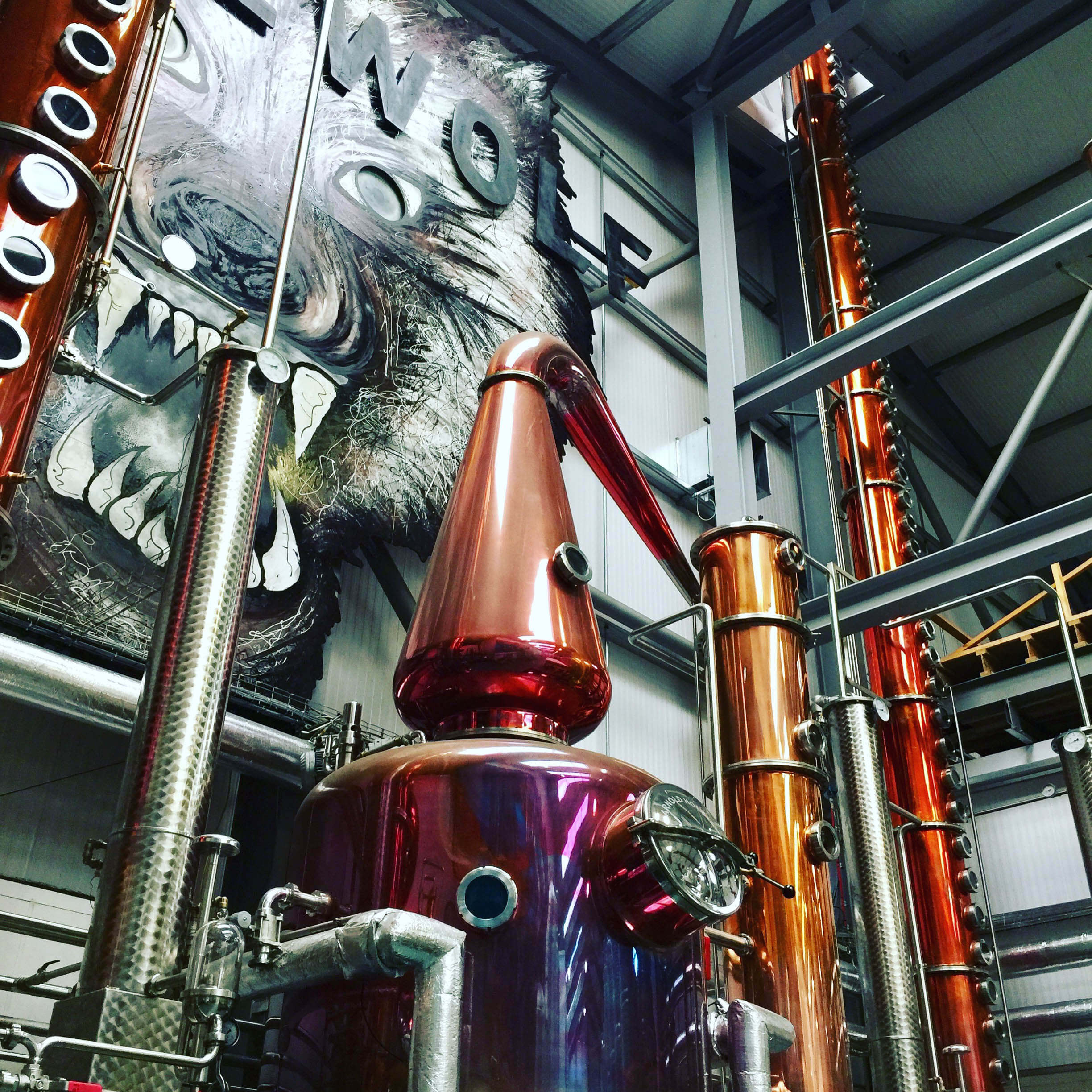 Lone Wolf 7 Lone Wolf, LoneWolf Gin, Scottish Gin, Brewdog Gin