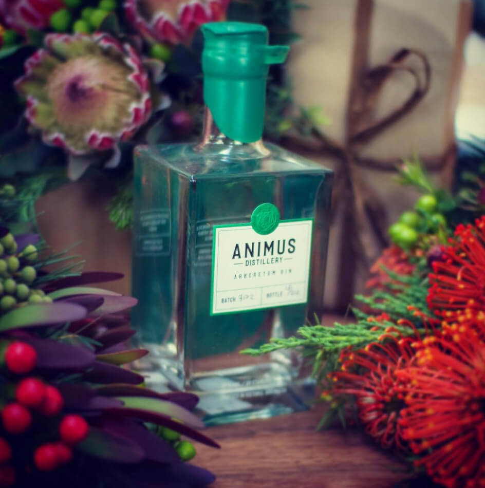 Australian Gin Animus