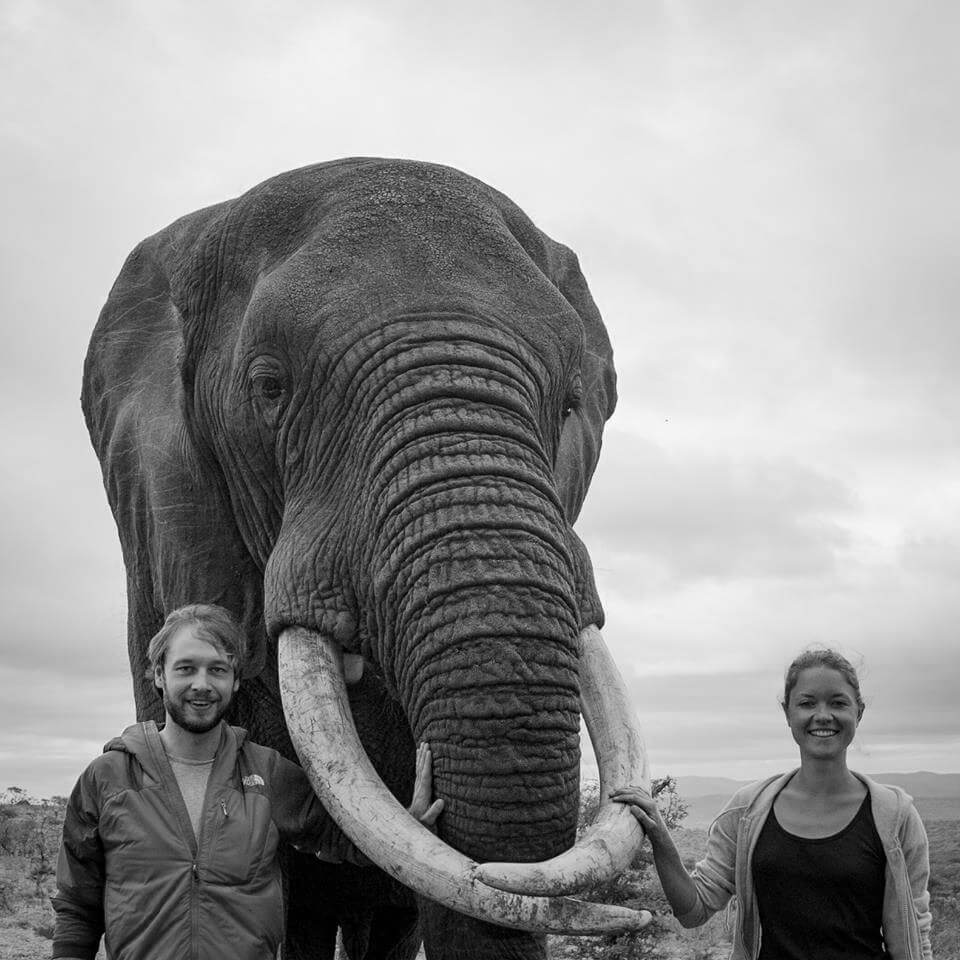 Elephant Gin Tessa Gerlach interview Elephant Gin Tessa Gerlach interview