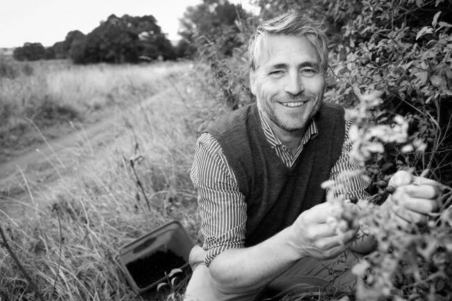 Joff Curtoys - Sloe Motion 2