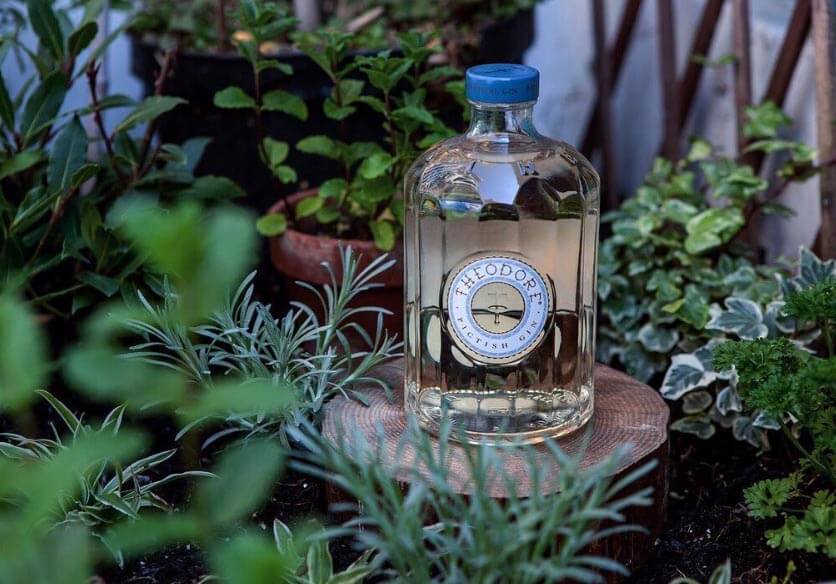 Theodore Pictish Gin 1 Theodore Pictish Gin 1